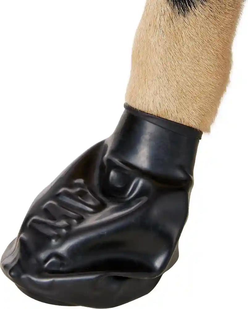Waterproof Dog Boots, Black, 12 Count X-large