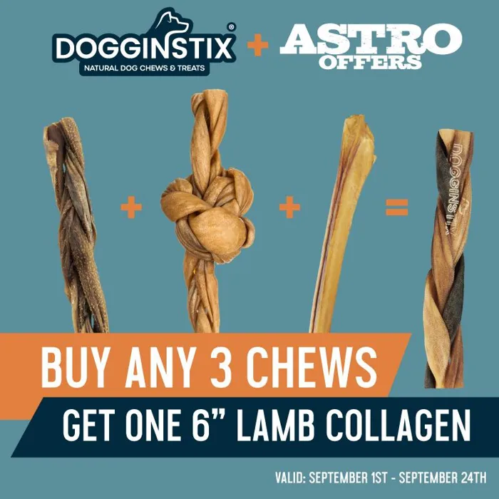 Promotion Image