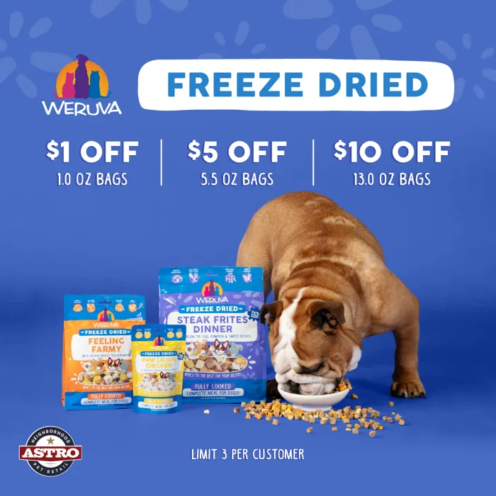 Promotion Image