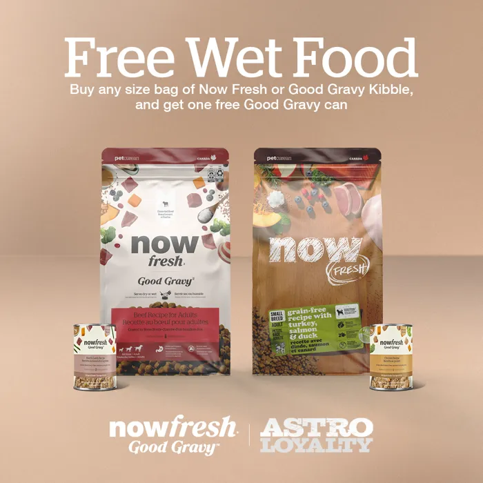 Promotion Image