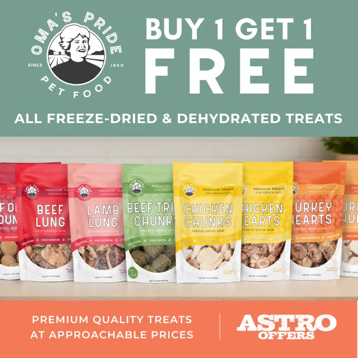 Promotion Image