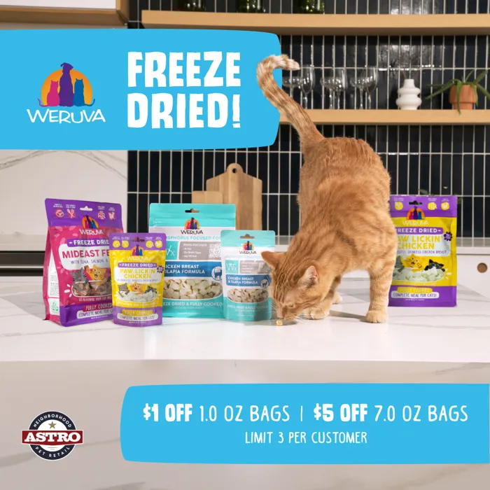 Promotion Image