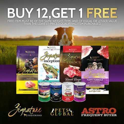 Promotion Image