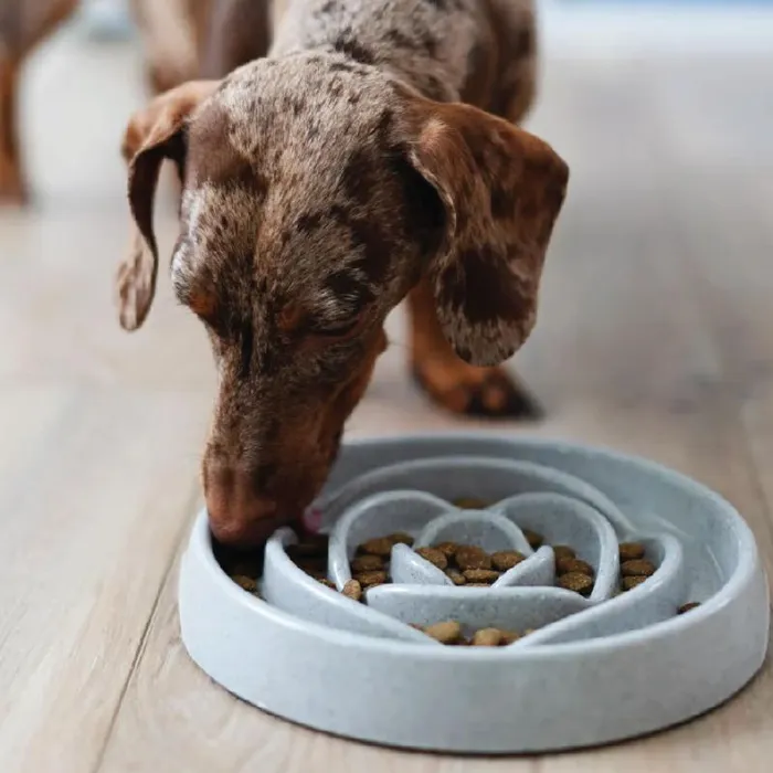 Messy Mutt Slow Feeder Speckled Grey 1.75 Cup