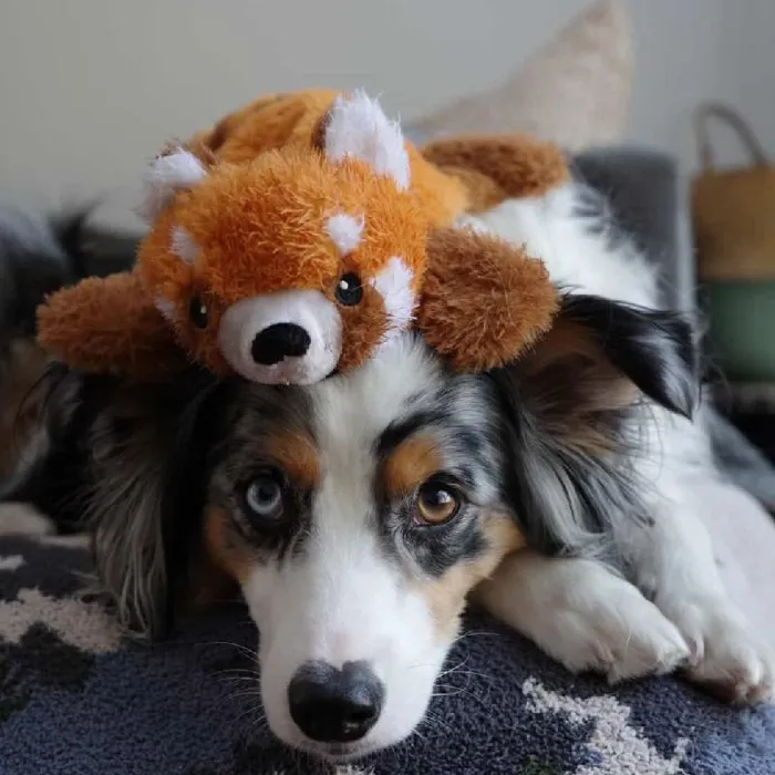 Tall Tails Dog Toy Stuffless Red Panda 16"