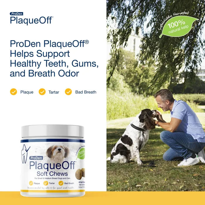 Plaqueoff Soft Chews Sm/med Breed 45-ct