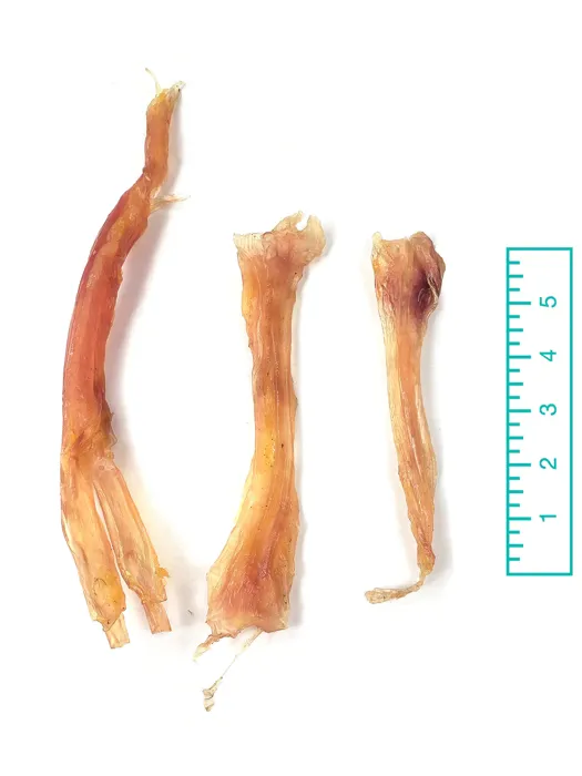 Tuesday's Assorted BF Tendons 8
