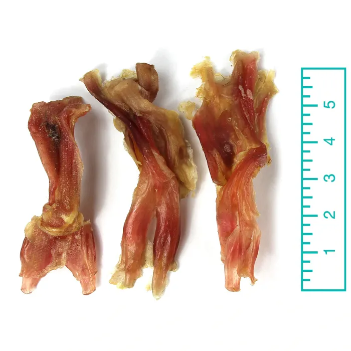 Tuesday's Assorted BF Tendons 8