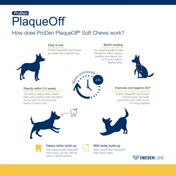 Plaqueoff Lg Breed Soft Chew 45ct 76000476 Proden 12/cs