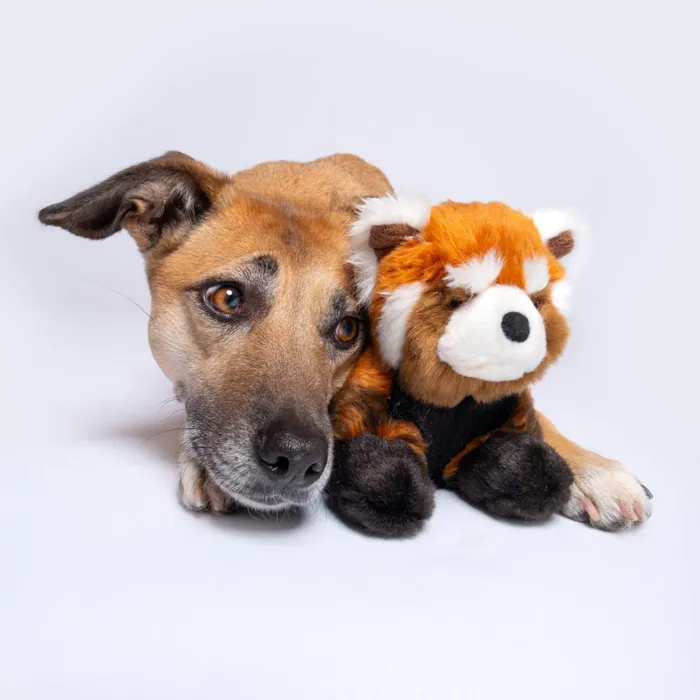 Fluff & Tuff Archie Red Panda