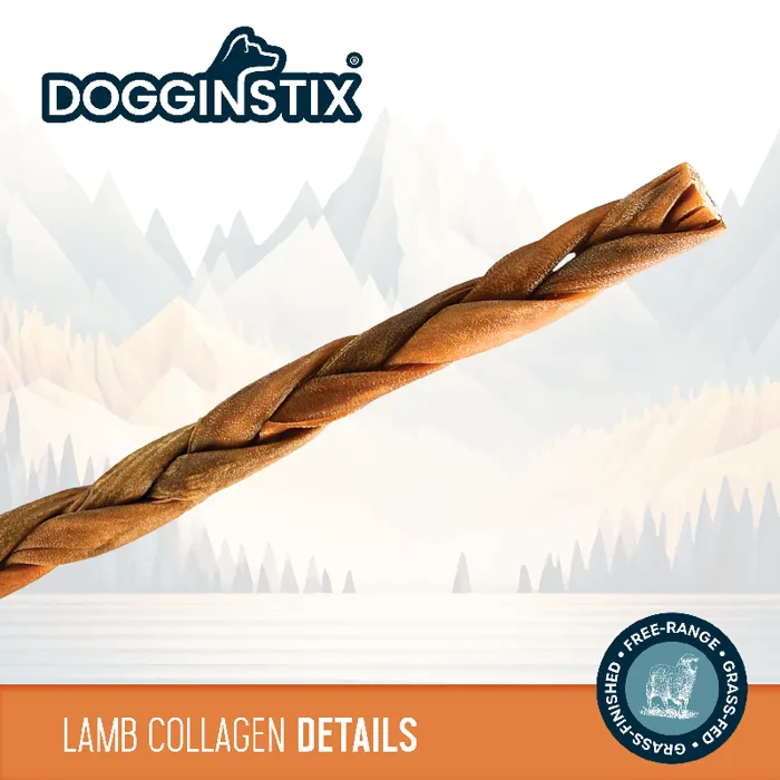 Dogginstix Braided Lamb Collagen 24"