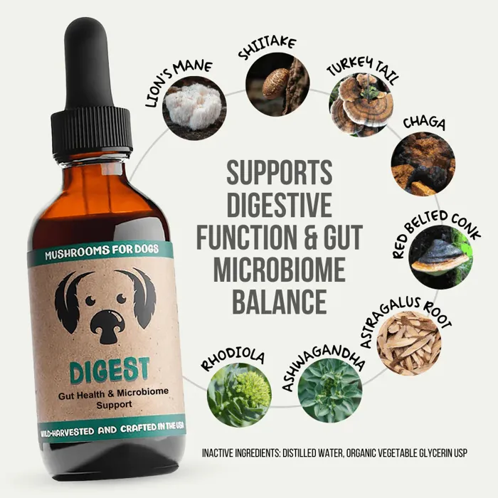 Mycodog Mushroom Tonics Digest 2-oz